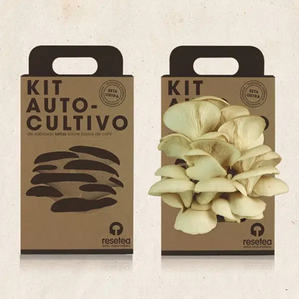 Kit de Cultivo de Cogumelos