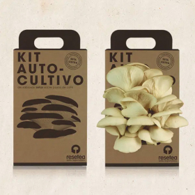 Kit de Cultivo Cogumelos