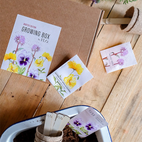 Kit de Flores para Semear Growing Box Flo.