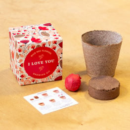 Kit de Cultivo Say it with flowers - I Love You	