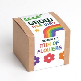 Kit de Cultivo Grow this way – Mix Flores