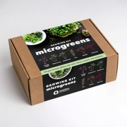 Microvegetais