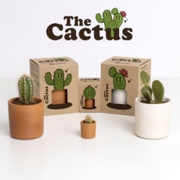 Mr. & Mrs. Cactus