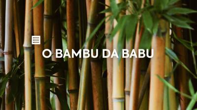 O bambu da Babu